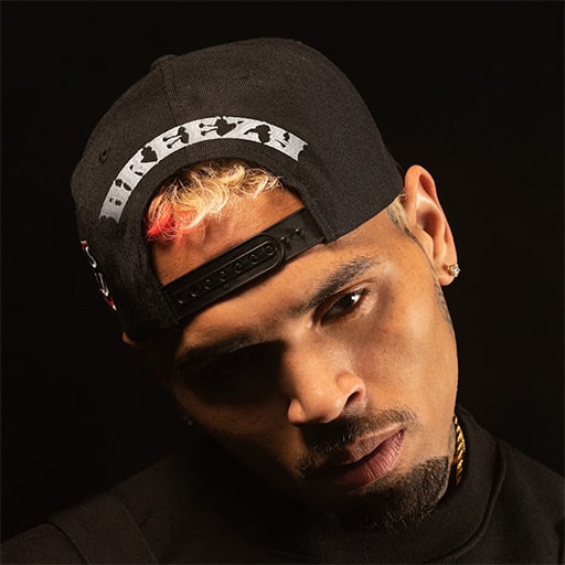 Chris Brown Concerts in Washington