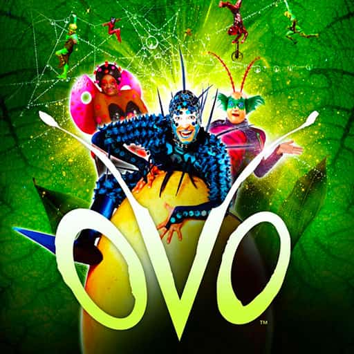 Cirque du Soleil - Ovo Washington DC Tickets