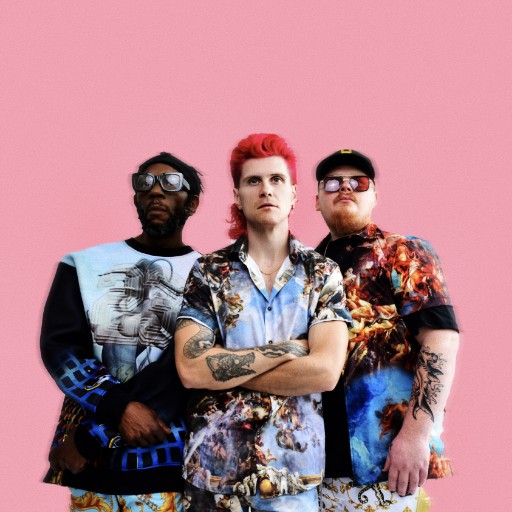 Too Many Zooz Concerts in Washington
